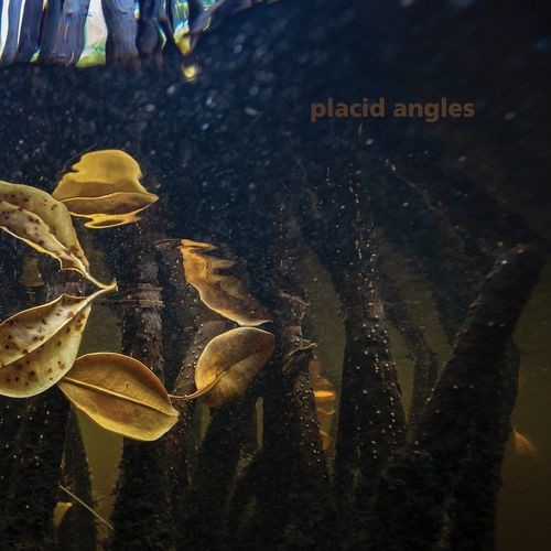 image cover: Placid Angles - Touch The Earth / Figure