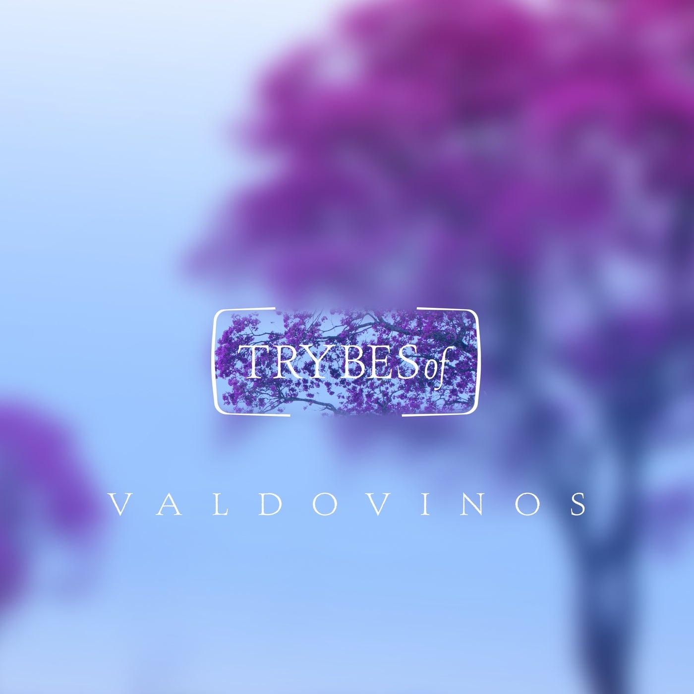 image cover: Valdovinos - Asterisms EP / TRY029