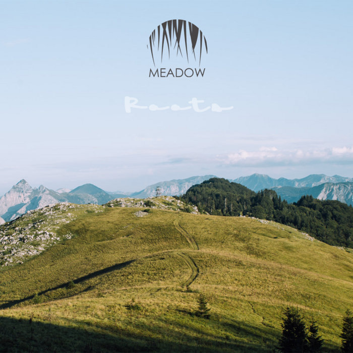 image cover: Meadow - Roots / unknown