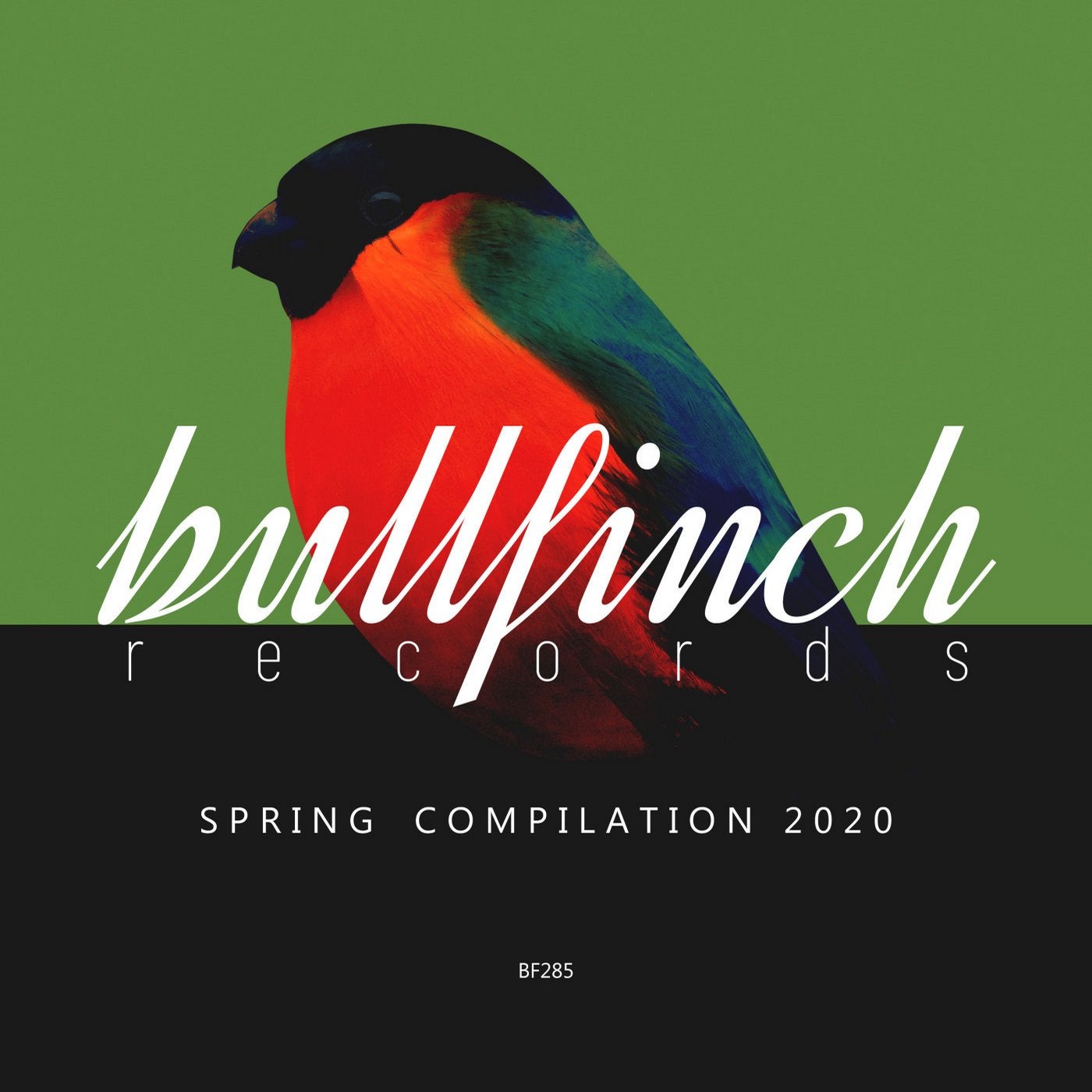 image cover: VA - Bullfinch Spring 2020 Compilation / BF285