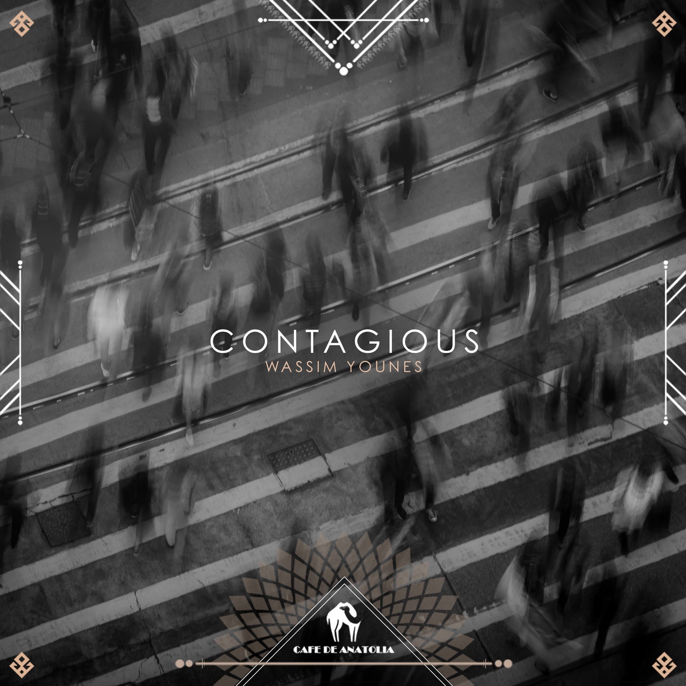 Download Contagious on Electrobuzz