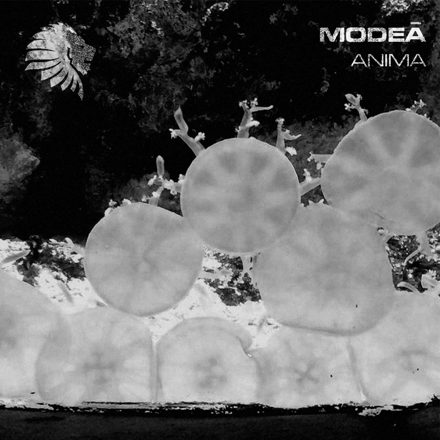 image cover: Modeā - Anima / WATB068BP
