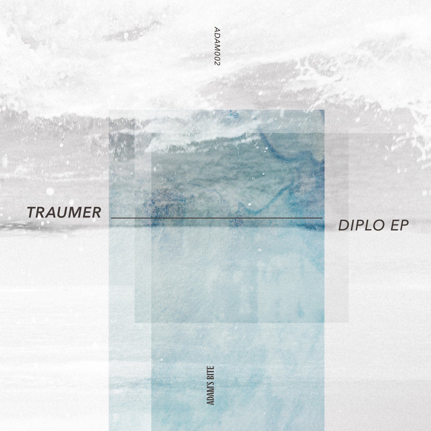 image cover: Traumer - Diplo / ADAM002