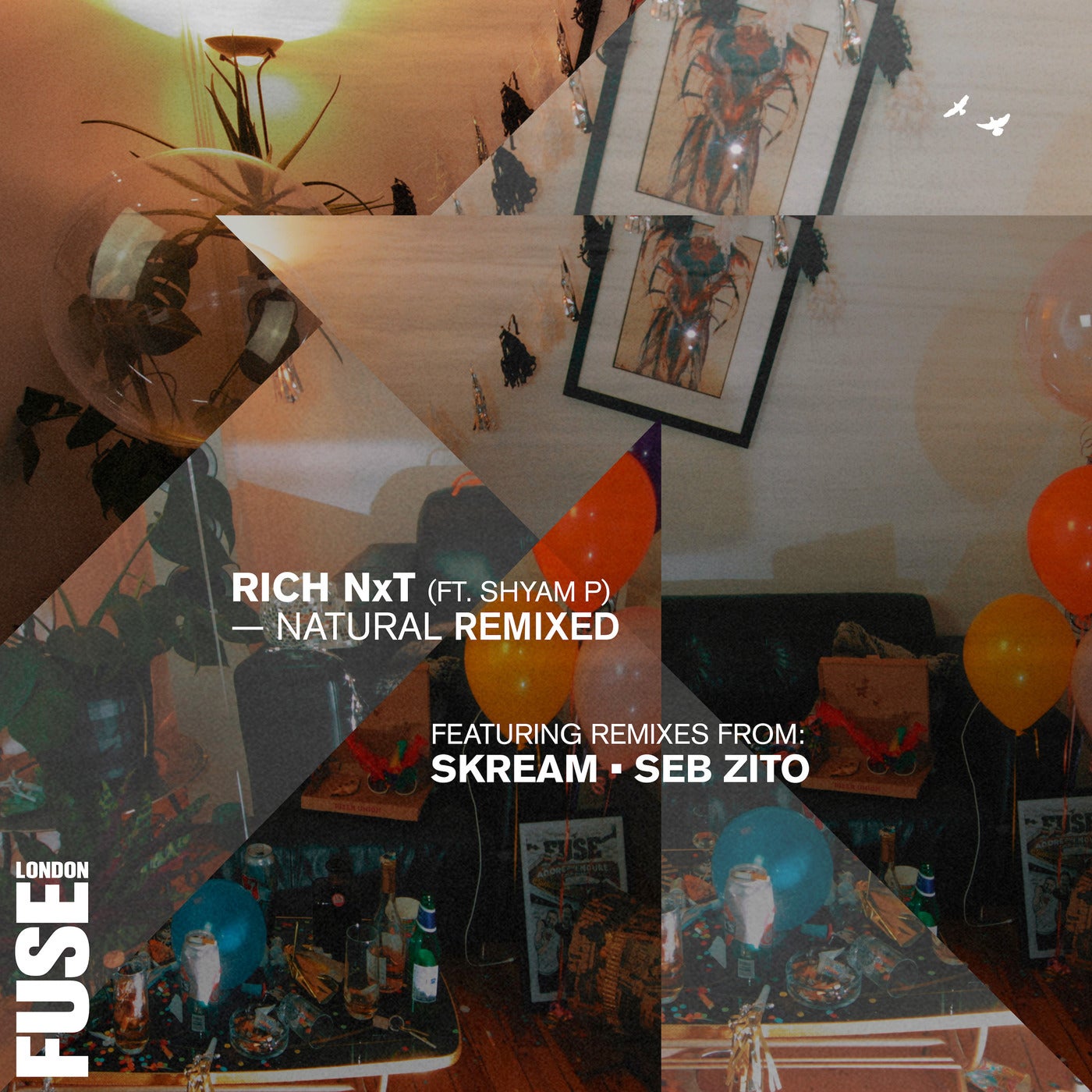 image cover: Rich NXT, Shyam P - Natural Remixed / FUSE044R