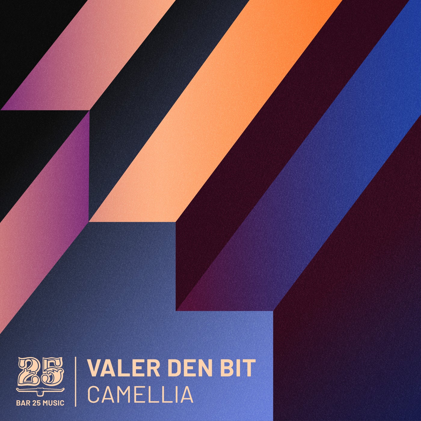 image cover: Valer den Bit - Camellia / BAR25143