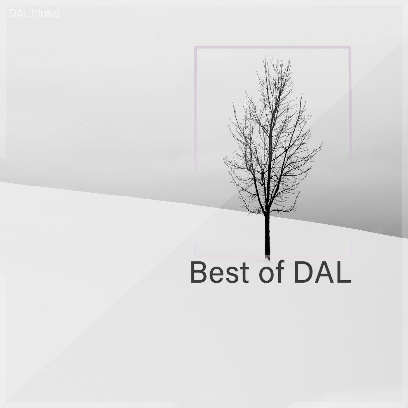 image cover: VA - Best of Dal / DAL056