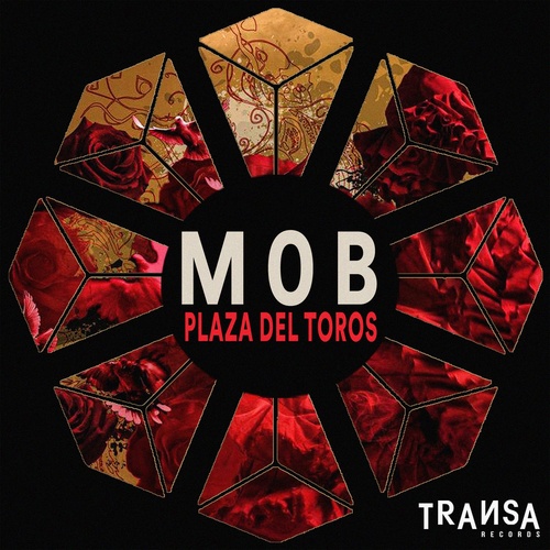 image cover: M0B - Plaza Del Toros / TRANSA256