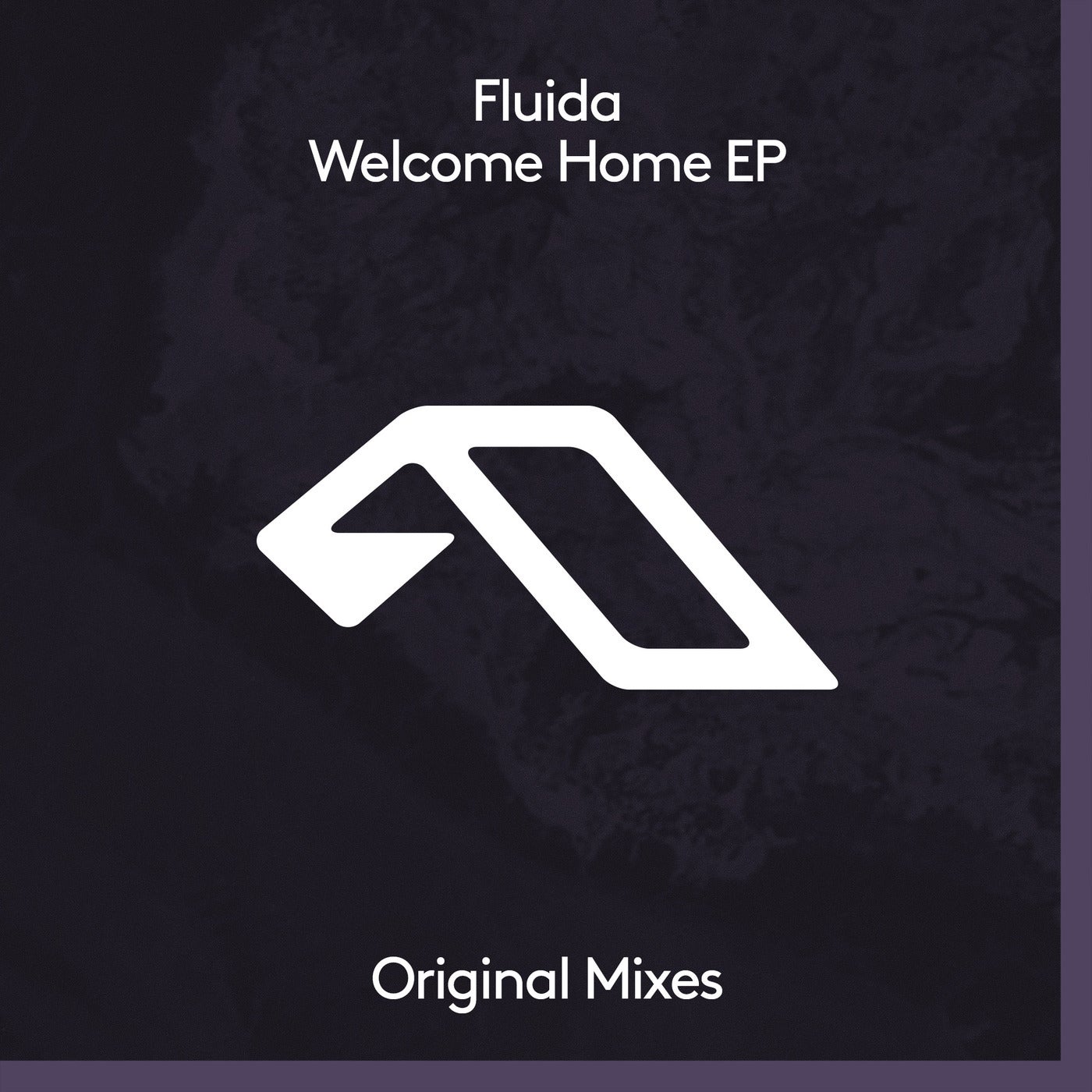 image cover: Fluida - Welcome Home EP / ANJDEE613BD