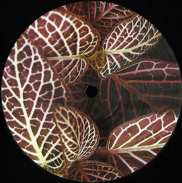 image cover: Unknown Artist - PP001 / Peculiar Plants
