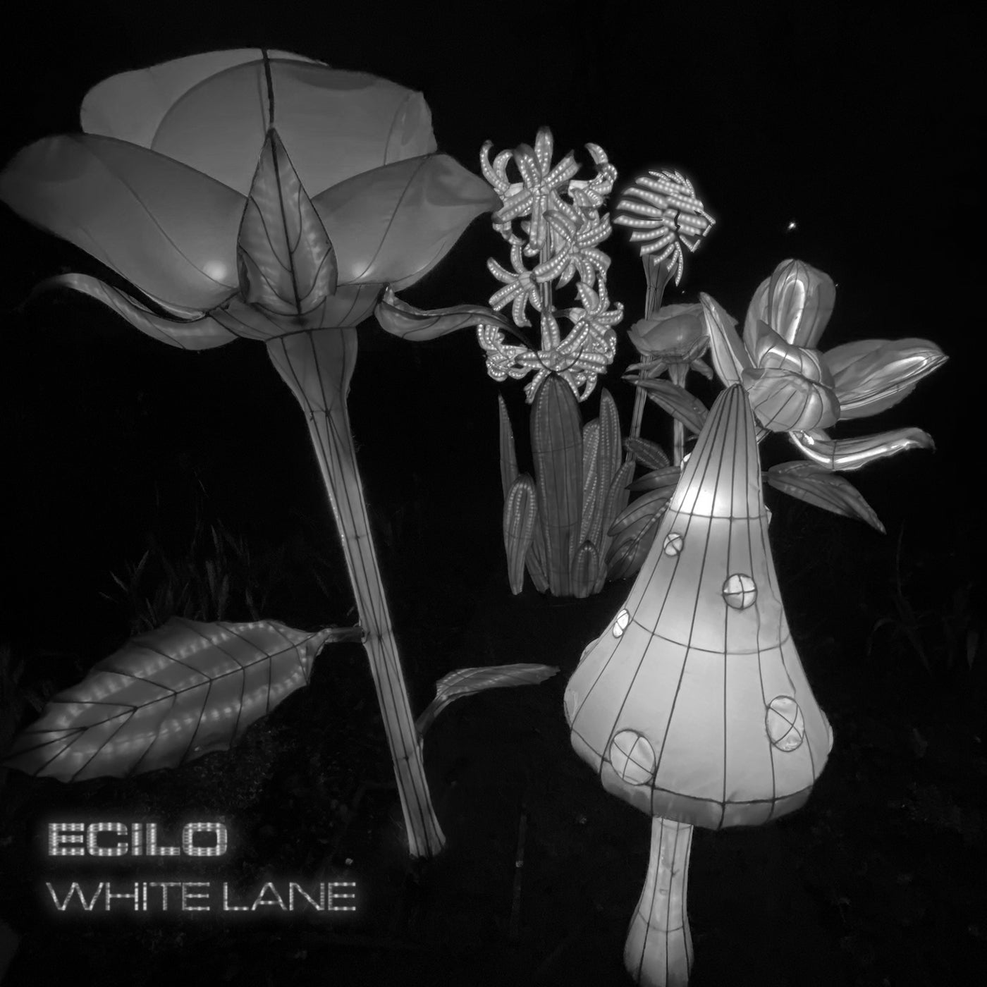 image cover: Ecilo - White Lane / WATB069BP