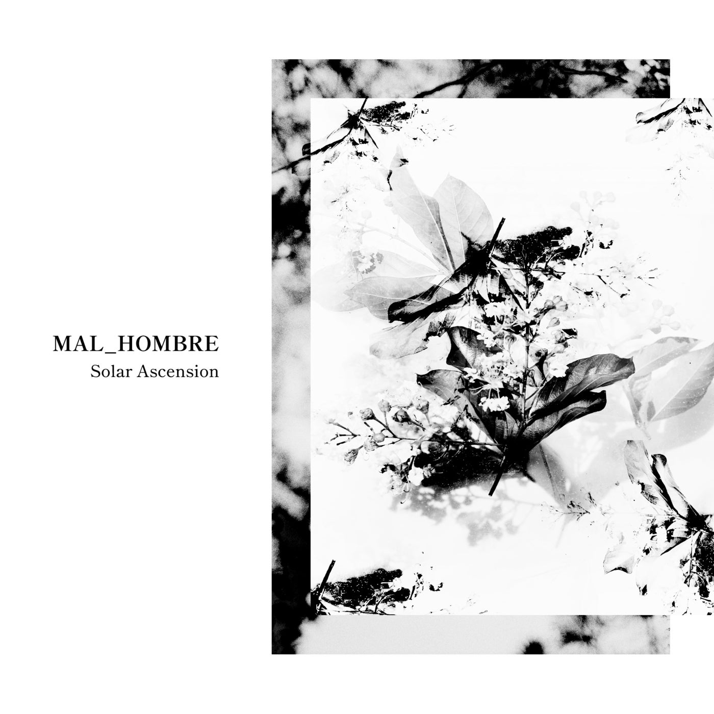 image cover: MAL_HOMBRE - Ascension / EDITSELECT111D