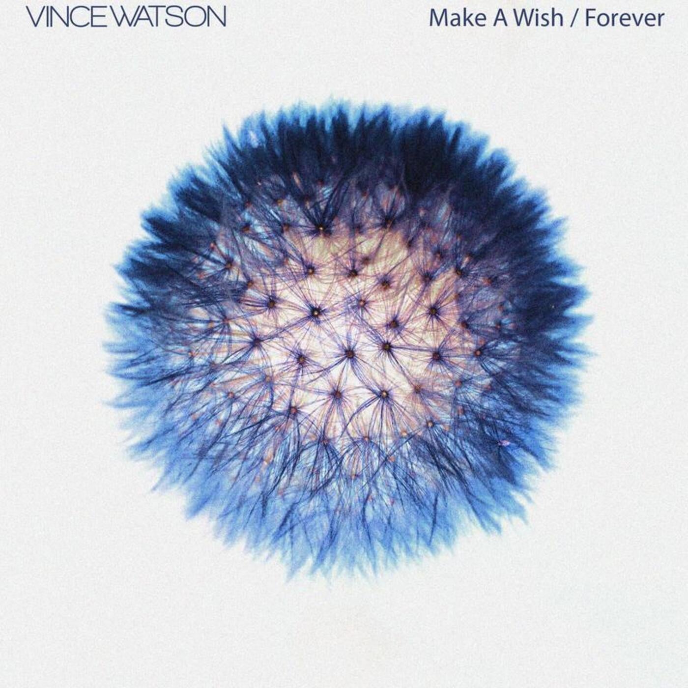 Download Make a Wish / Forever on Electrobuzz