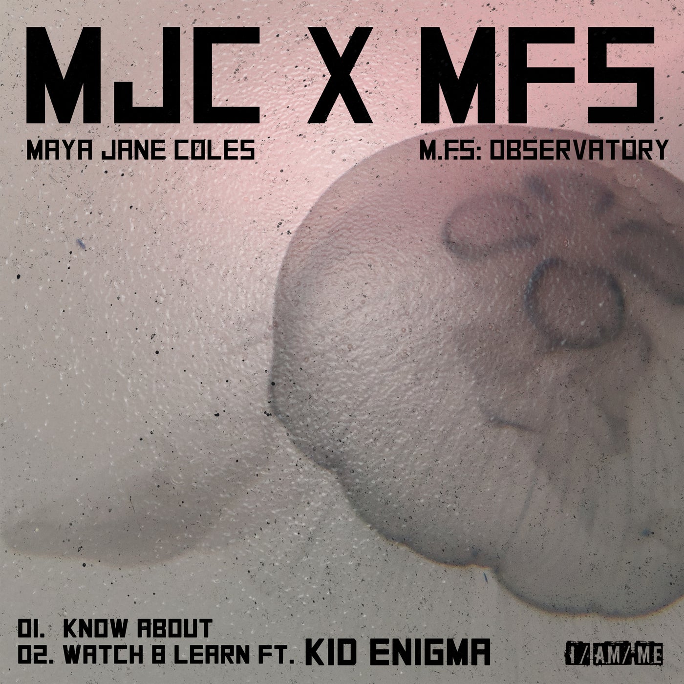 image cover: Maya Jane Coles, M.F.S: Observatory, Kid Enigma - Know About / 4050538696493