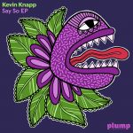06 2021 346 091335025 Kevin Knapp - Say So EP / PLUMP003