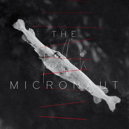 image cover: The Micronaut - Friedfisch / Acker Records