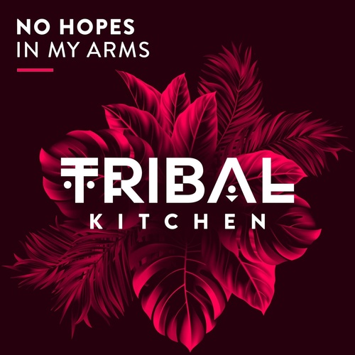 image cover: No Hopes - In My Arms / TK092