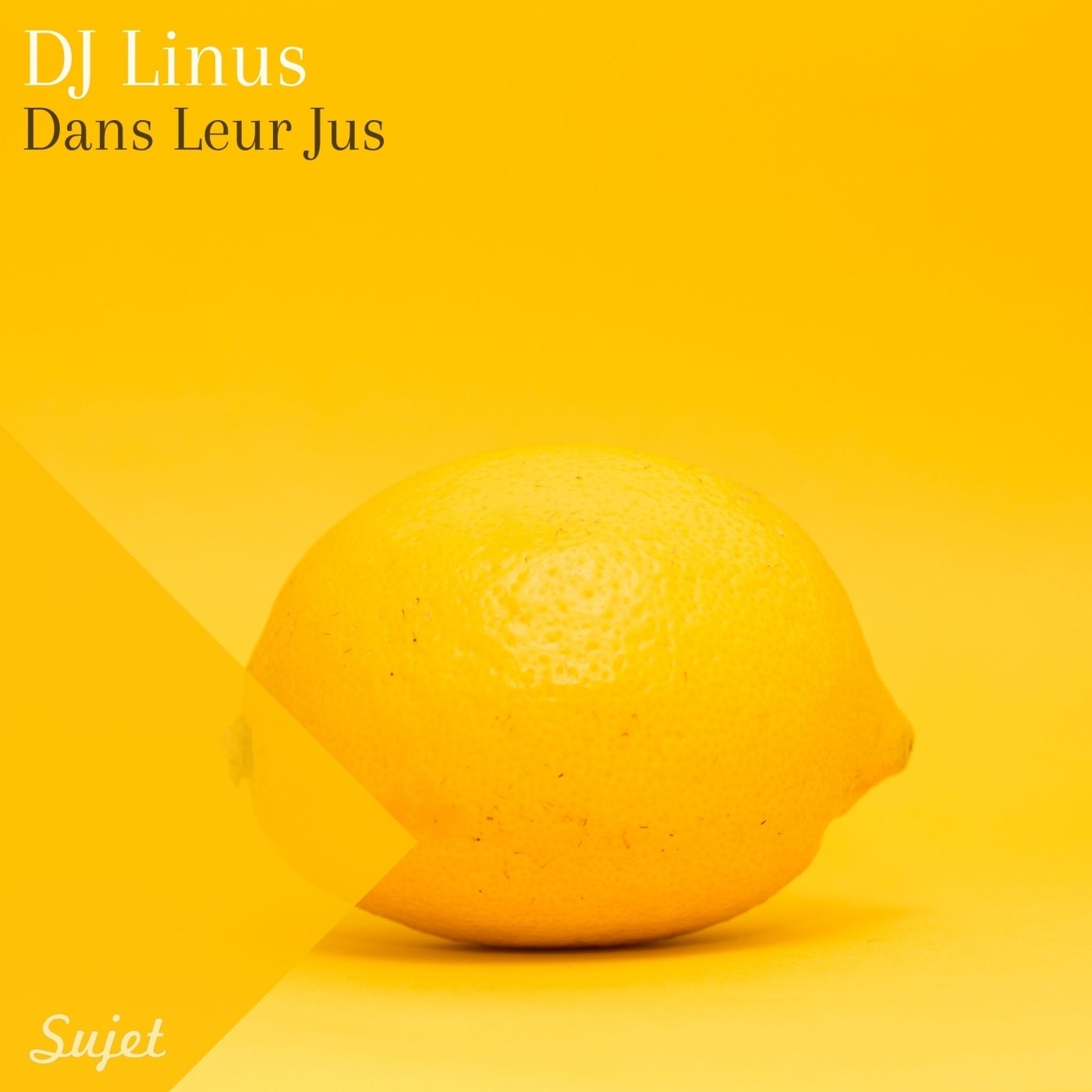 image cover: DJ Linus - Dans Leurs Jus / SM77