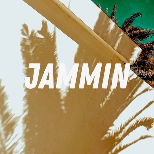 image cover: DJ Aiblo - Dj Aiblo - Jammin / PR804