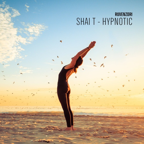 image cover: Shai T - Hypnotic / RVNZ05