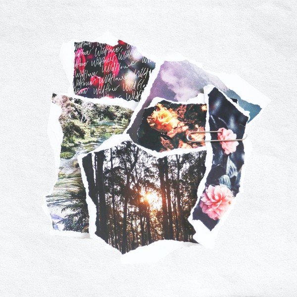 image cover: edapollo - Wildflower