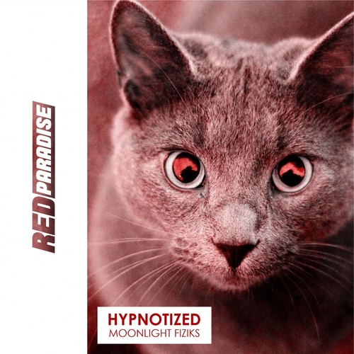 Download Hypnotized on Electrobuzz