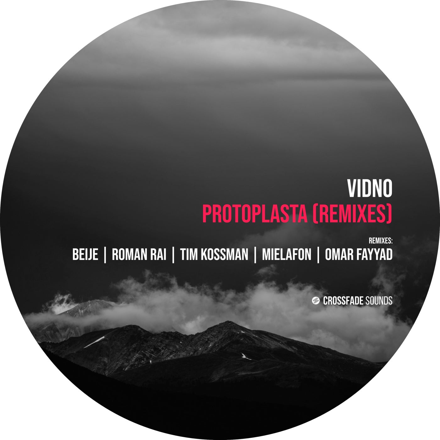 image cover: Vidno - Protoplasta (Remixes) / CS075