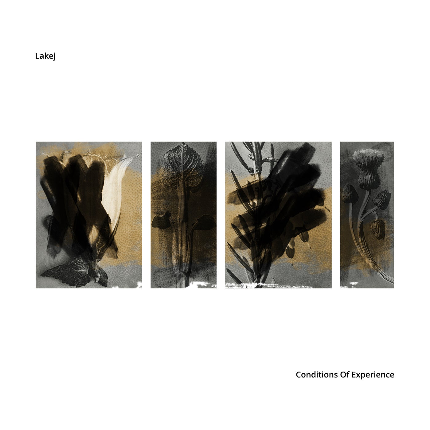 image cover: Lakej - Conditions Of Experience / EDITSELECT103VLP3