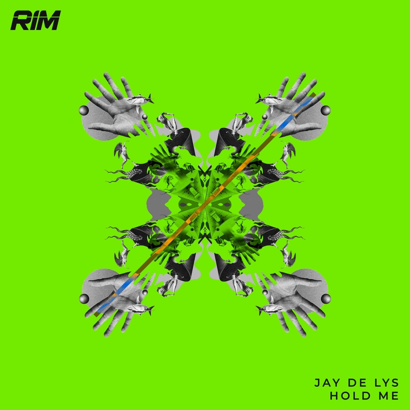 image cover: Jay de Lys - Hold Me / RIM055