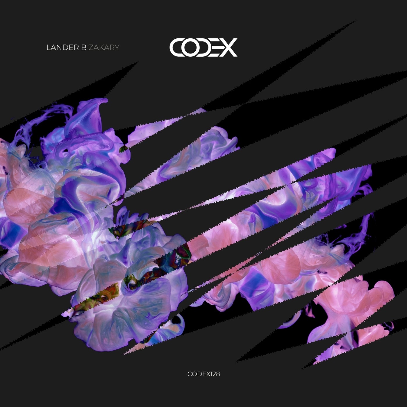 image cover: Lander B - Zakary / CODEX128