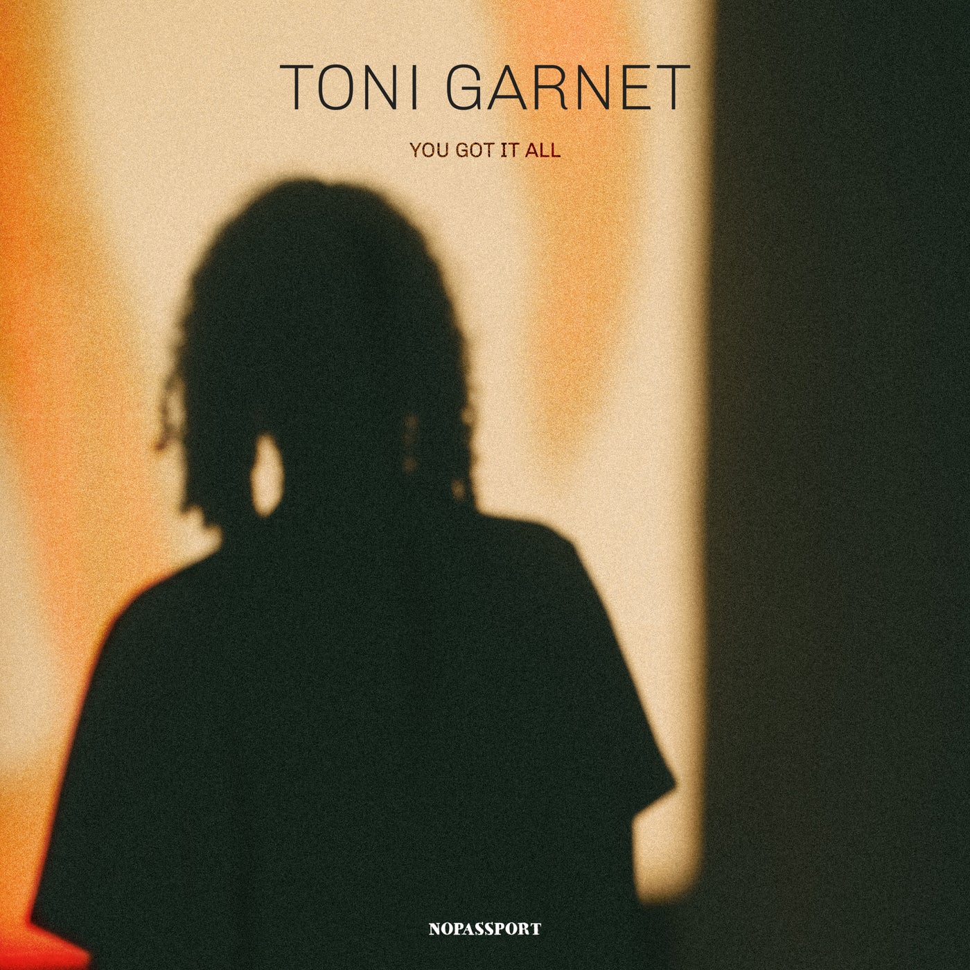image cover: Toni Garnet - You Got It All / NP053