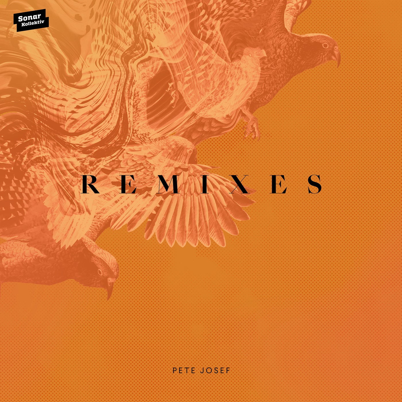image cover: Pete Josef, Marie Lister - Remixes / SK404D