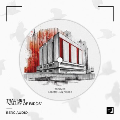 07 2021 346 09162990 Traumer - Assembling Pieces / BERGAMON11D