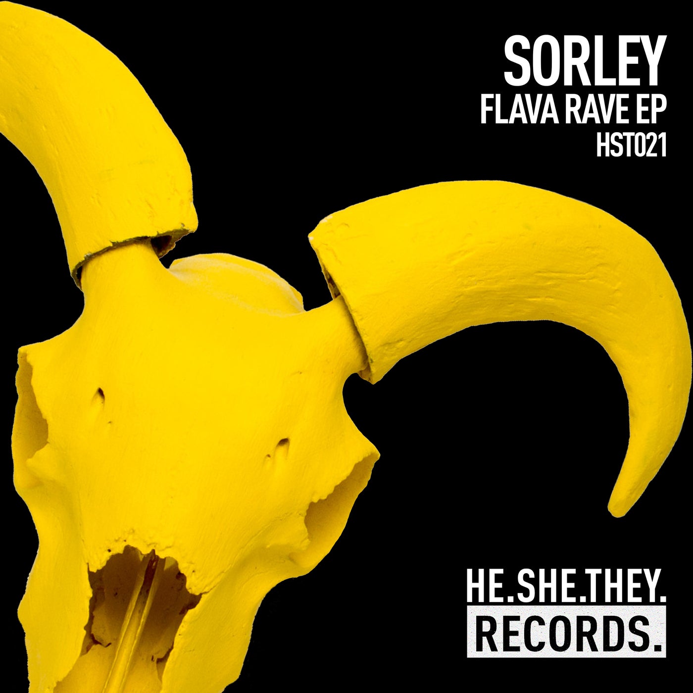 image cover: Sorley - Flava Rave EP / 190296544989