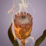 08 2021 346 211101 Anderholm - Folding / TNH098D