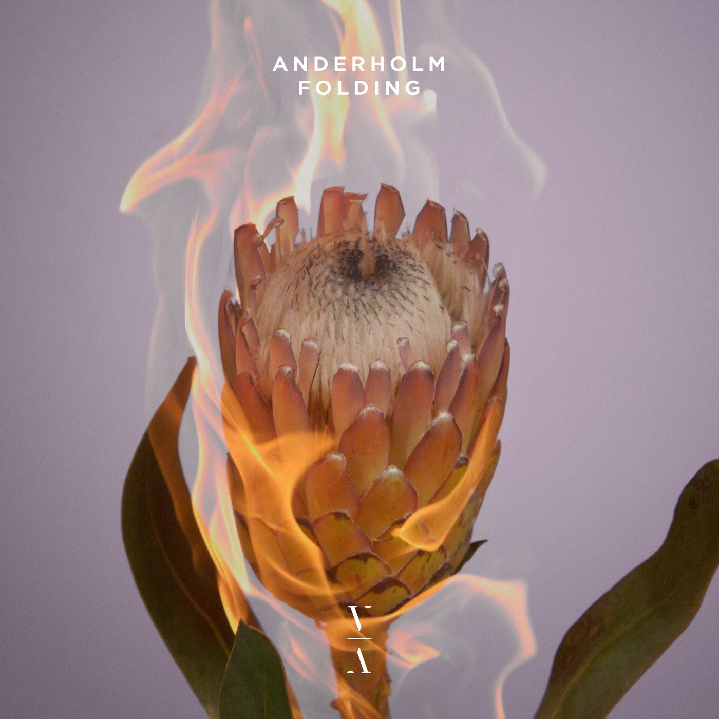Download Anderholm - Folding on Electrobuzz