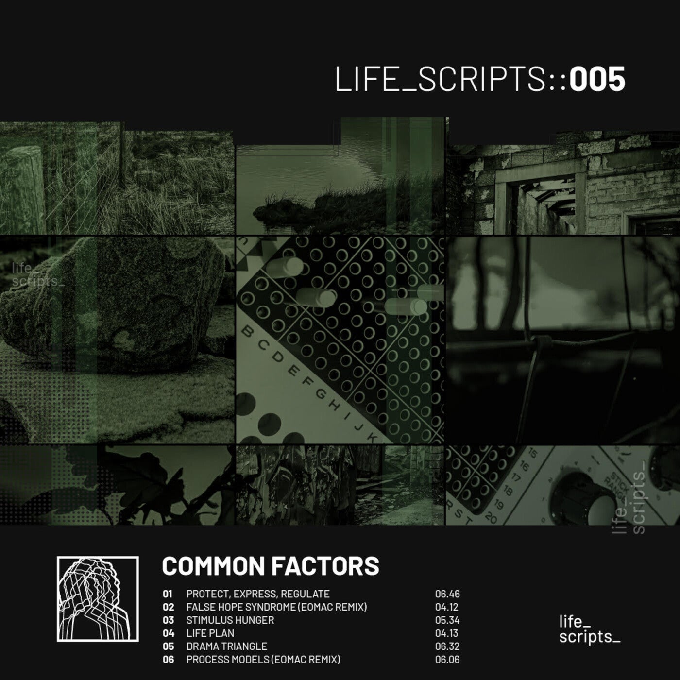 image cover: Common Factors - LS05 / LS05