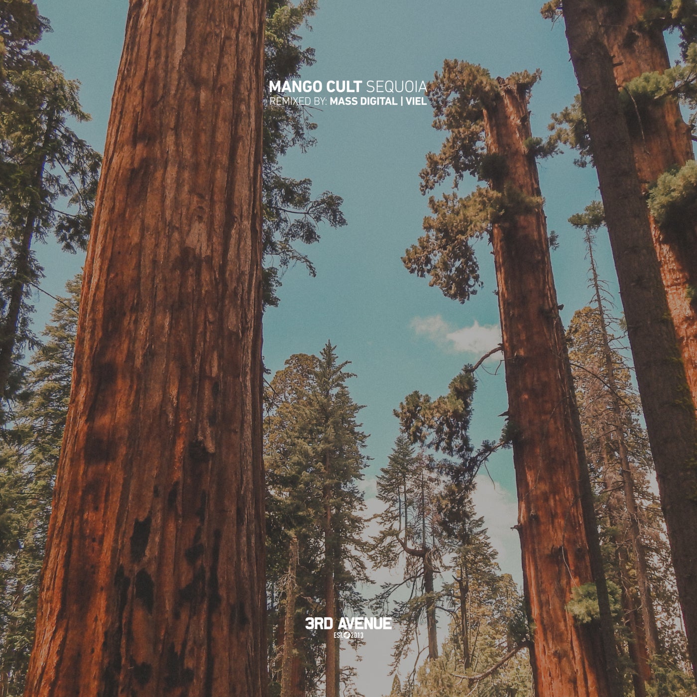 image cover: Mango Cult - Sequoia / 3AV260
