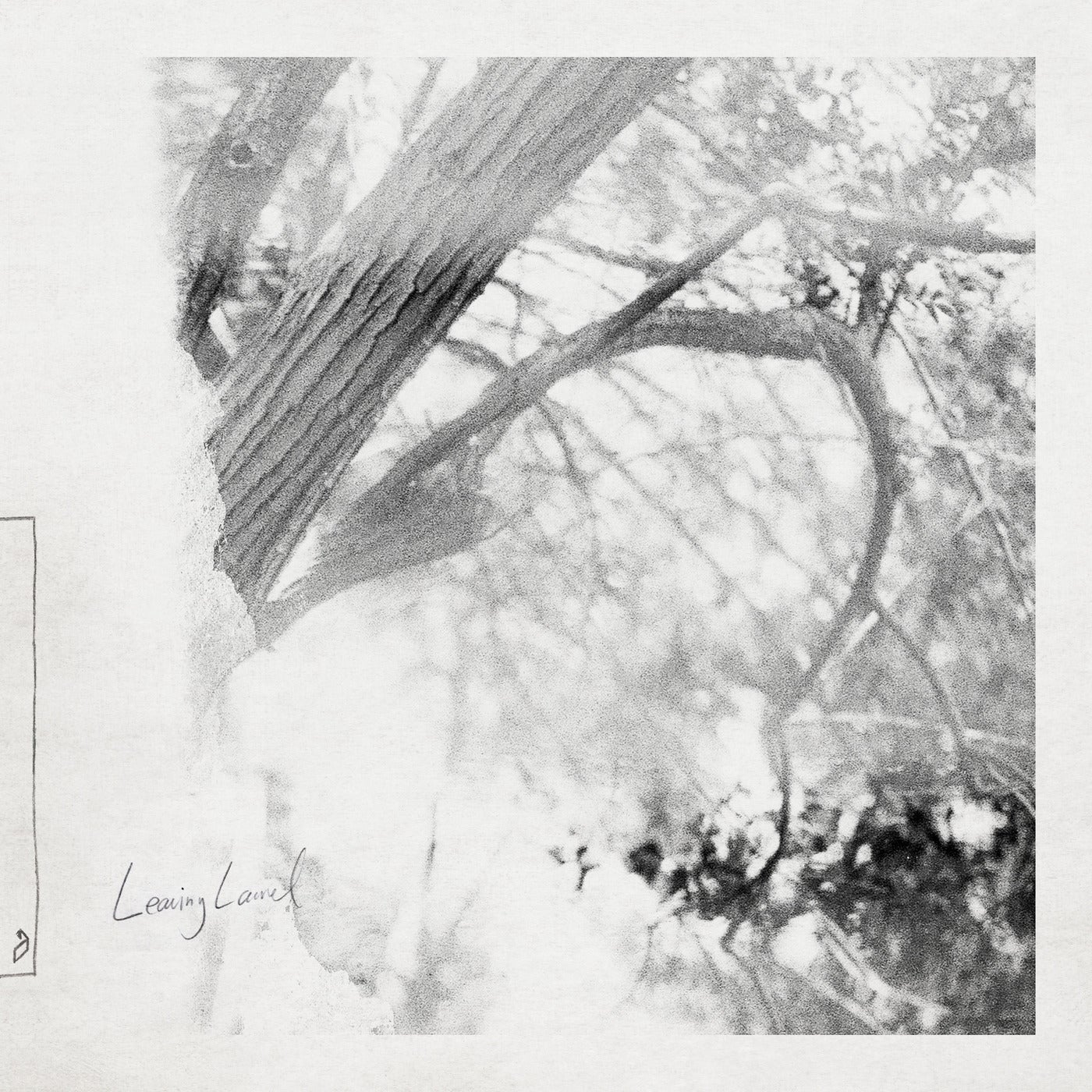 Download Leaving Laurel - Leaving Laurel on Electrobuzz