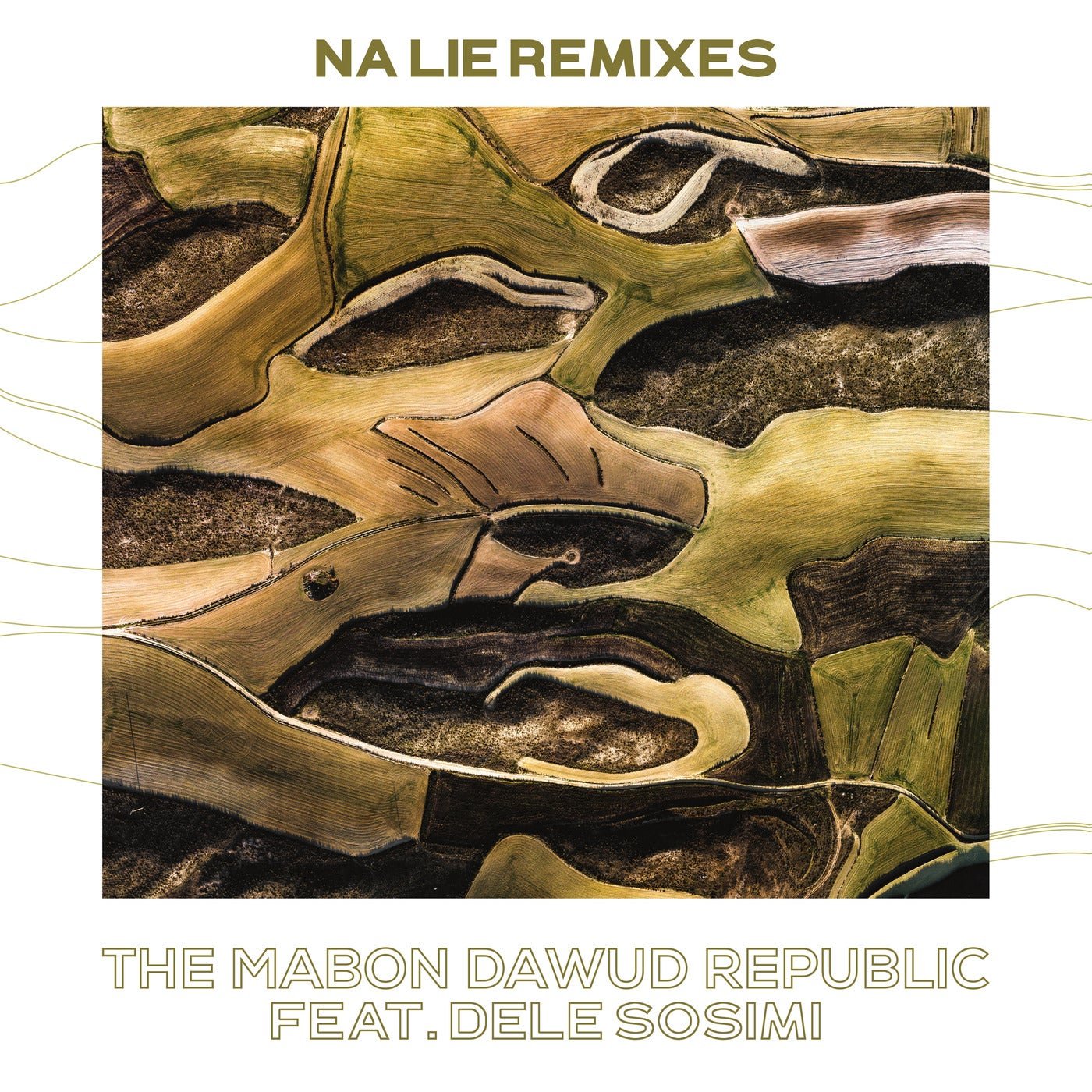 Download Dele Sosimi, The Mabon Dawud Republic - Na Lie Remixes on Electrobuzz