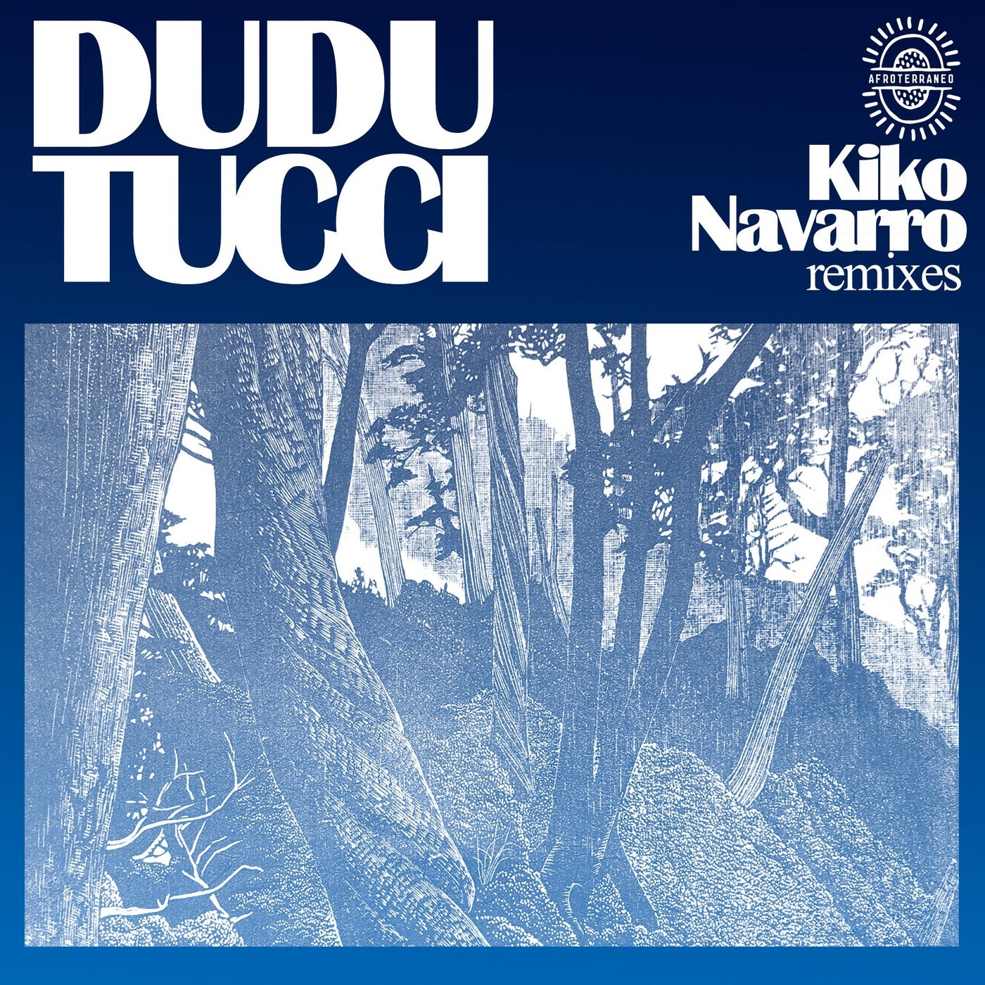 image cover: Dudu Tucci - Kiko Navarro Remixes / AFTNE031