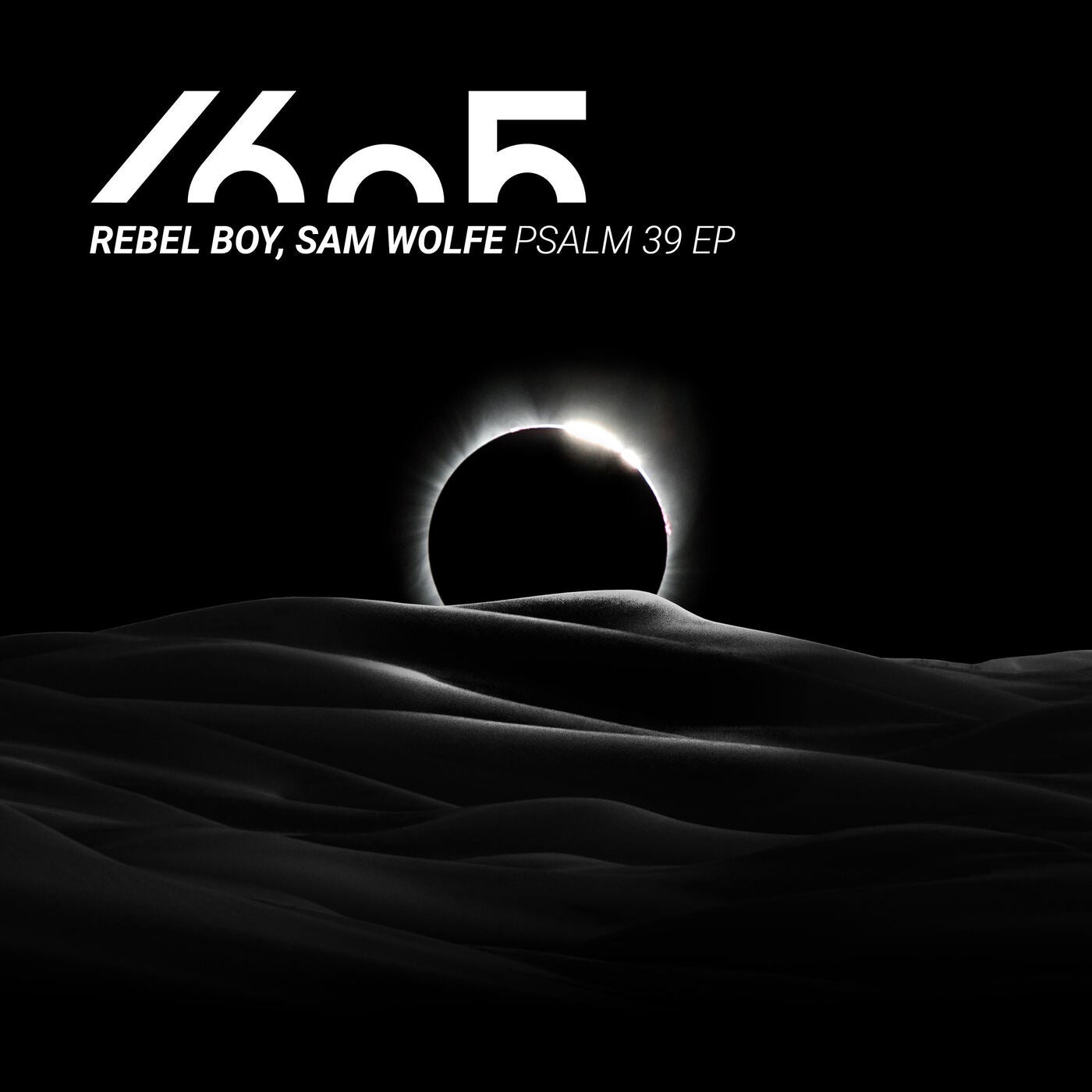 image cover: Rebel Boy, SAM WOLFE - Psalm 39 EP / 1605266