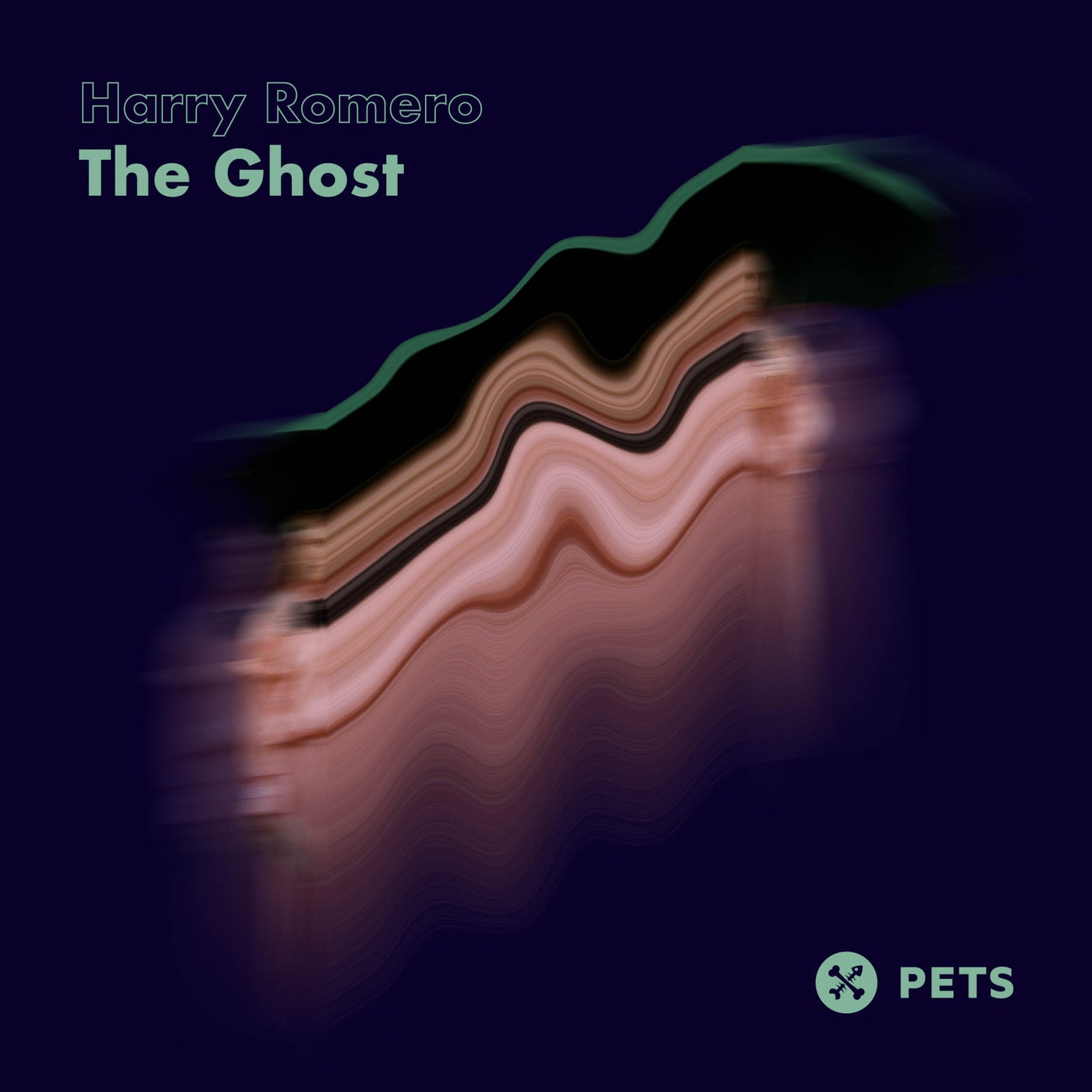 image cover: Harry Romero - The Ghost EP / PETS140
