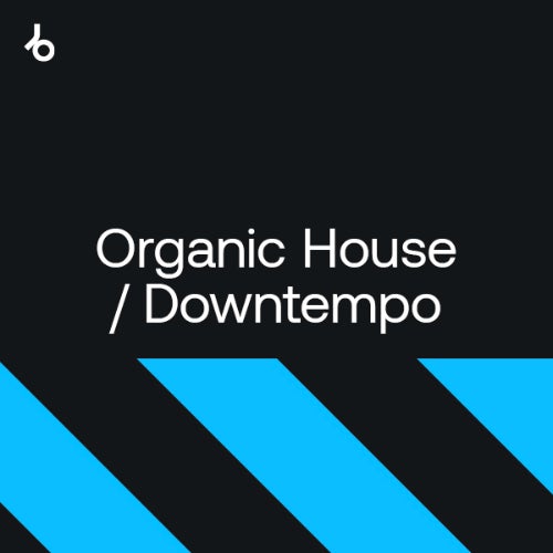 image cover: Beatport Best New Hype Organic House Downtempo August 2021