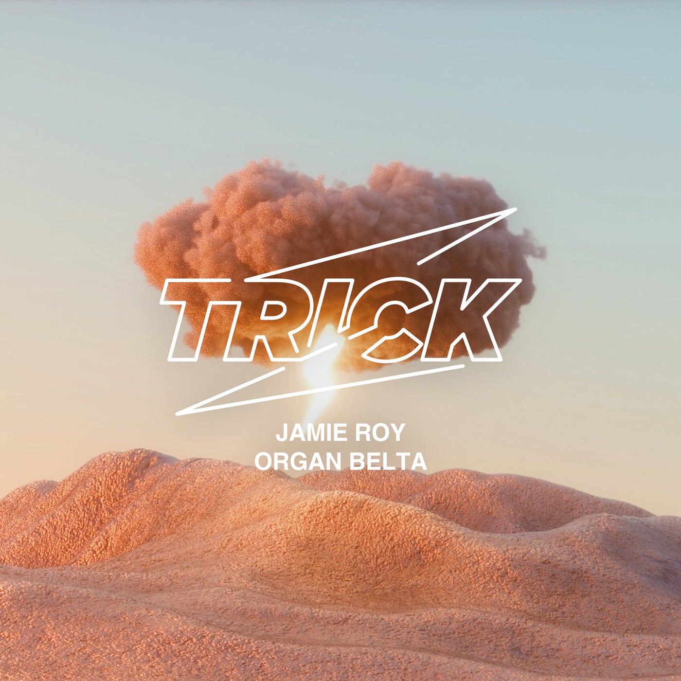 image cover: Jamie Roy - Organ Belta / TRICK036