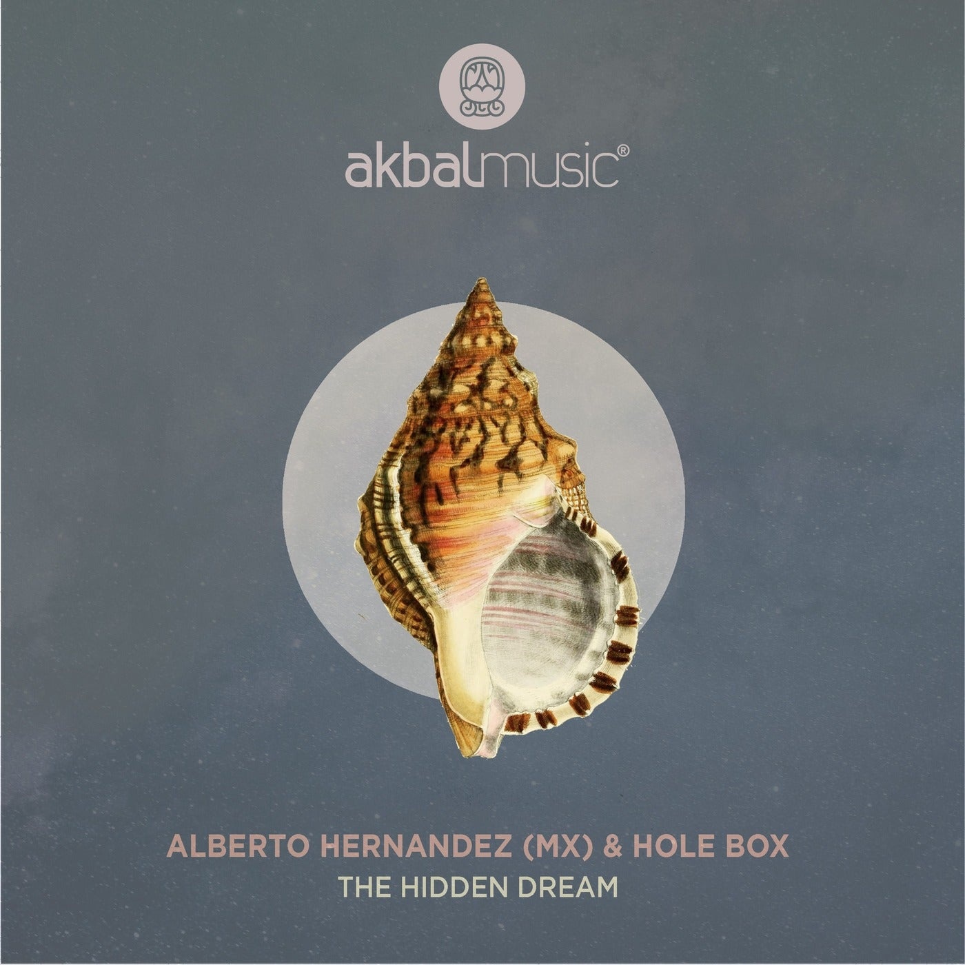 image cover: Hole Box, Alberto Hernandez (MX) - The Hidden Dream / AKBAL206