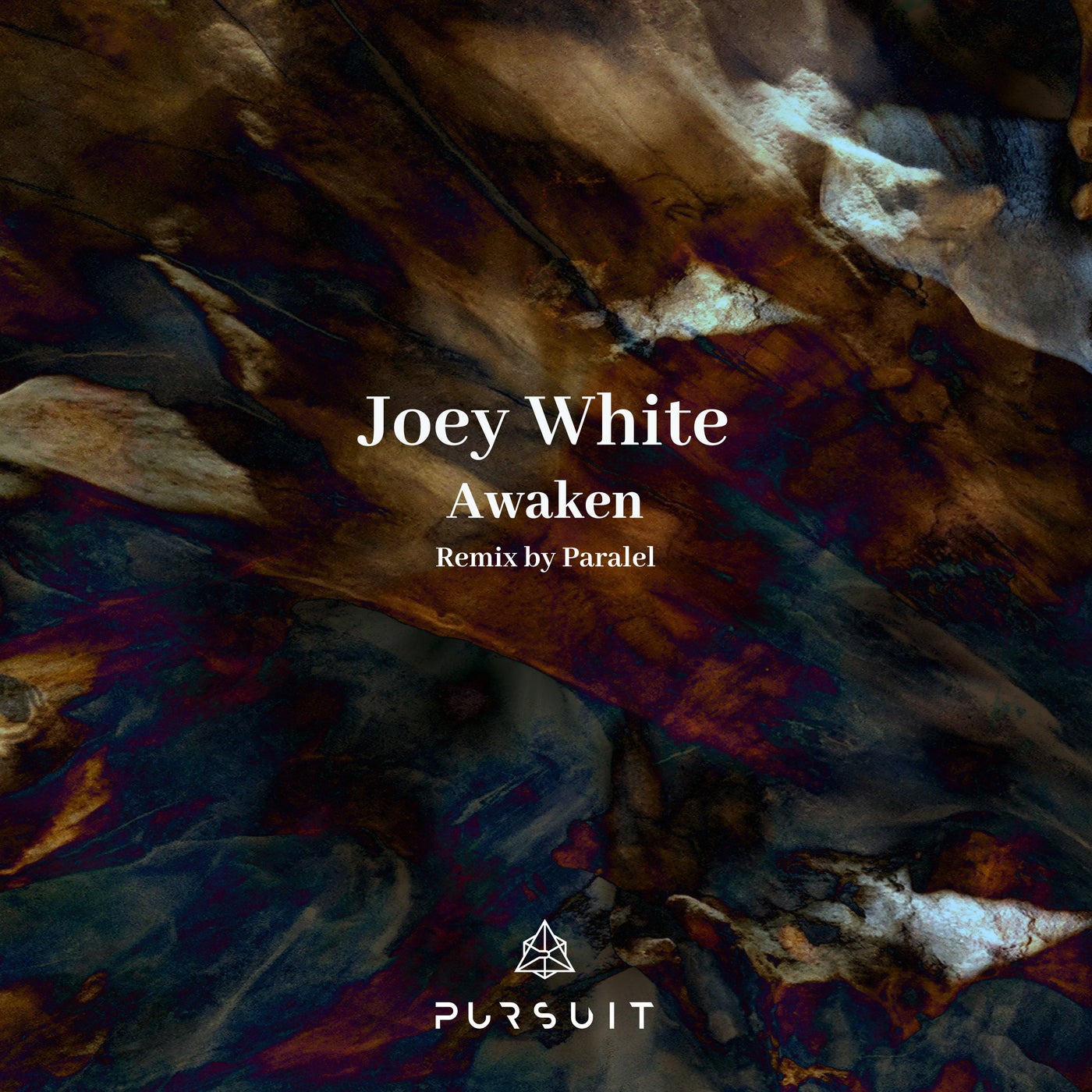 image cover: Joey White - Awaken / PRST060
