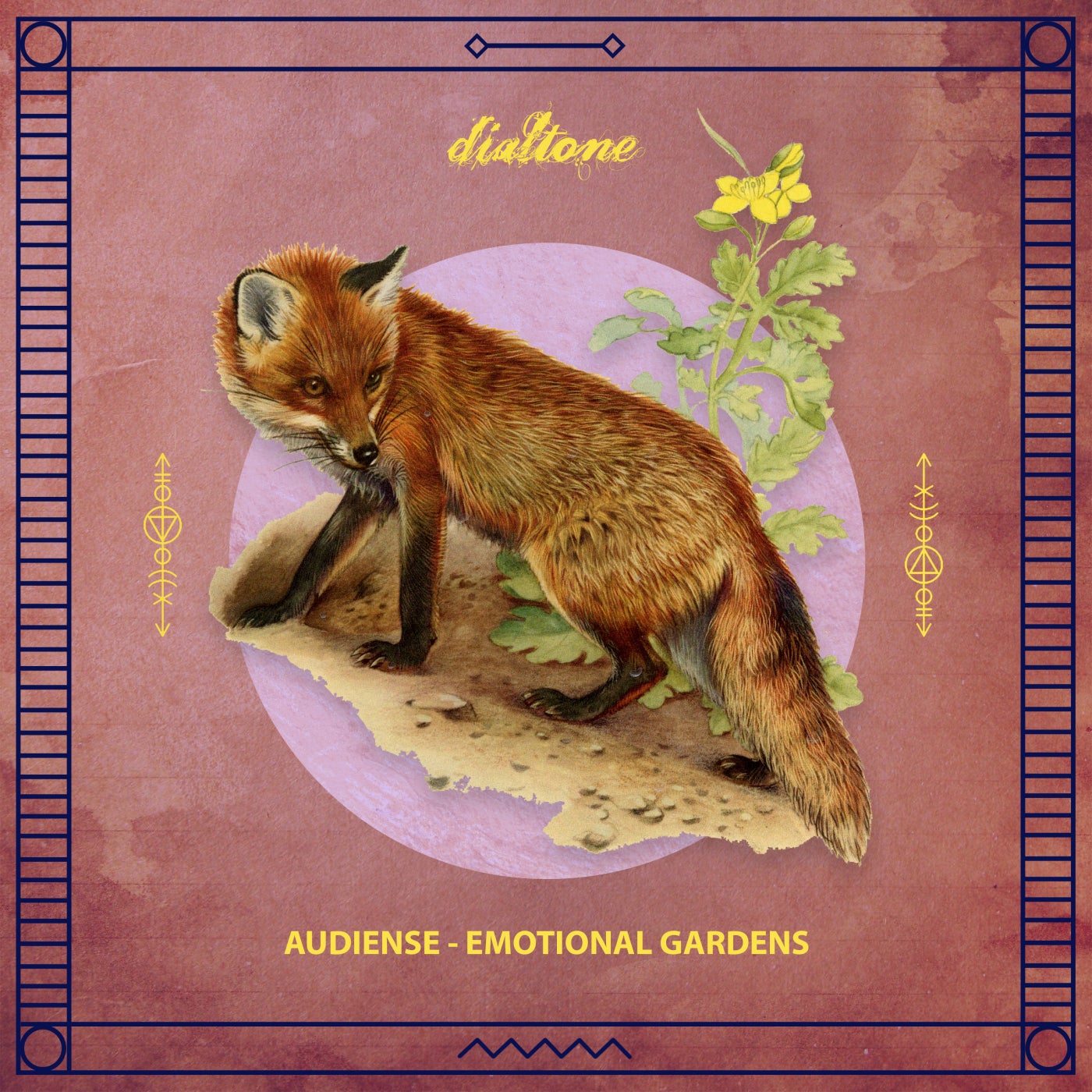 image cover: Audiense - Emotional Gardens / DT136