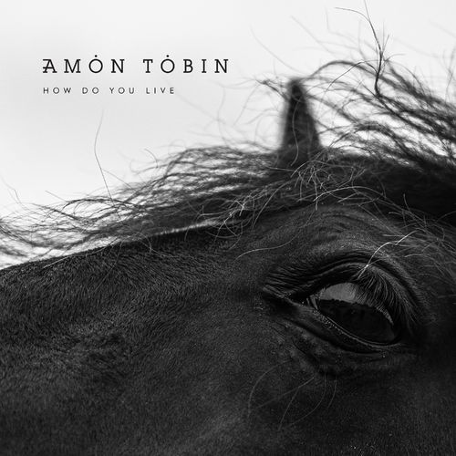 image cover: Amon Tobin - How Do You Live / Nomark