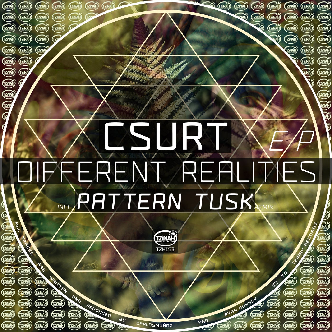 image cover: Csurt - Different Realities EP / TZH153