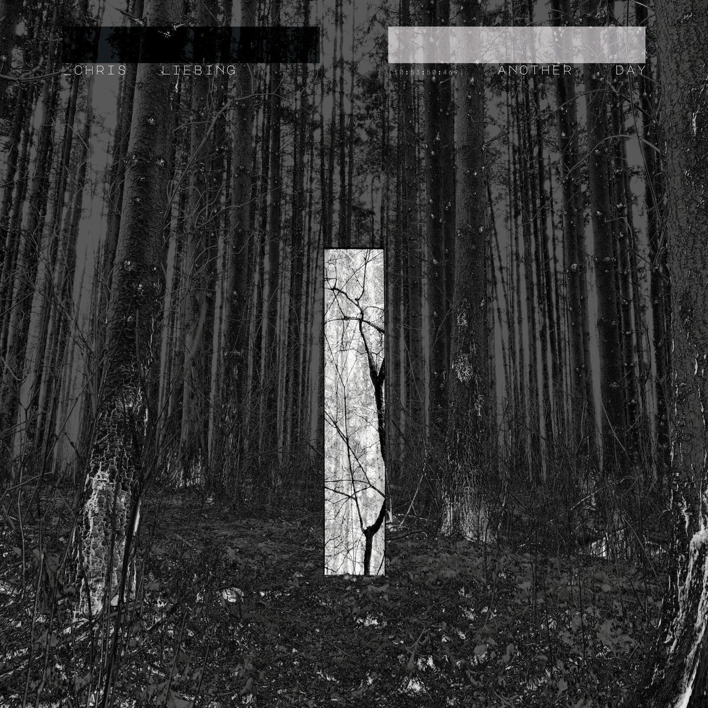 image cover: Chris Liebing, Ralf Hildenbeutel, Miles Cooper Seaton - Fault Line feat. Miles Cooper Seaton [Plaid Remix] / I6STUMM469